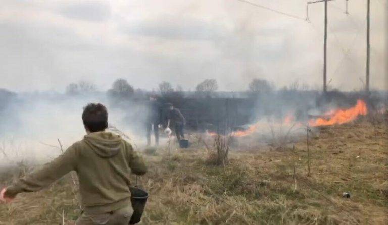 Залишалось півтора метра до собак: через підпал трави ледь не згорів притулок «Дім Сірка»