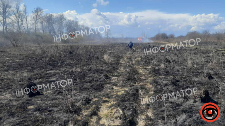 На Коломийщині розгорілася пожежа сухої трави - вогонь знищив сотні метрів землі