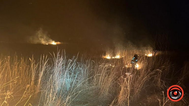 У Коломиї вогнеборці гасили пожежу біля сміттєзвалища