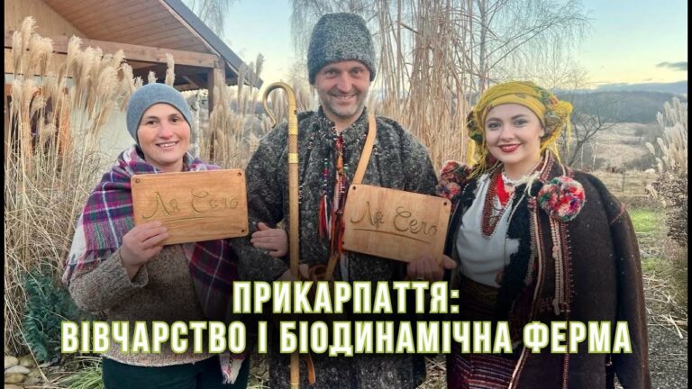 Містичні Карпати: як на полонині зберегли вівчарство та створили біодинамічну ферму