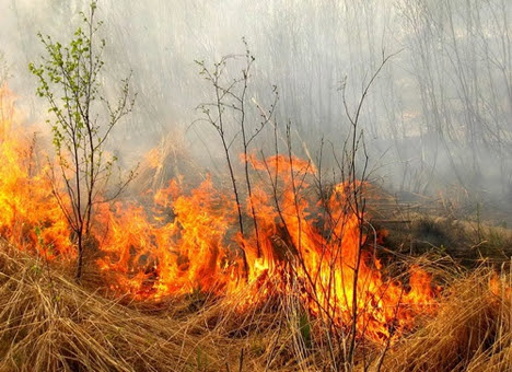 У Франківській громаді через підпалену траву ледь не згоріла АЗС