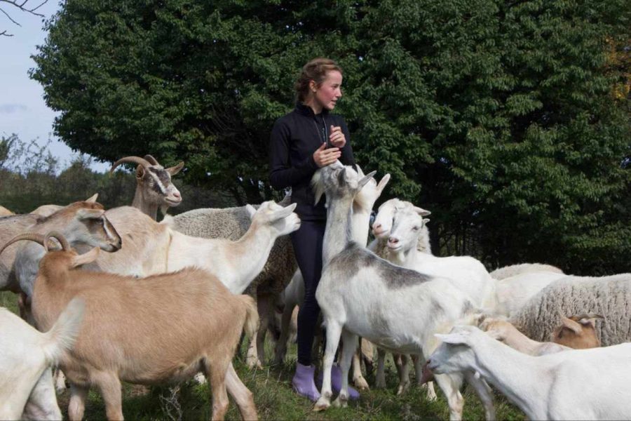 350 овець та 50 кіз: перша дівчина-вівчар мешкає на Франківщині