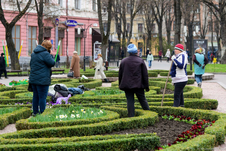 В Івано-Франківську планують висадити 150 дерев та 2,5 тисячі кущів