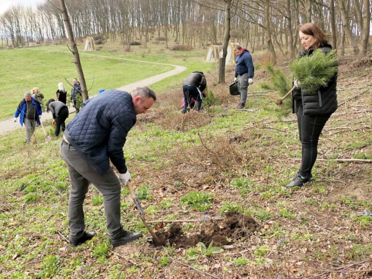 У Погоні неподалік монастиря висадили три сотні дерев