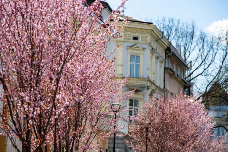 Якою буде погода на Івано-Франківщині 9 квітня