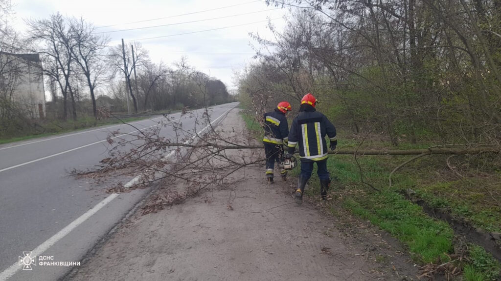 Сильний вітер наробив біди: рятувальники ліквідовували наслідки негоди на Франківщині
