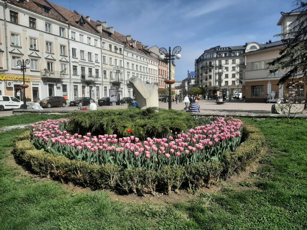 У Івано-Франківську розквітають різнобарвні тюльпани ФОТО