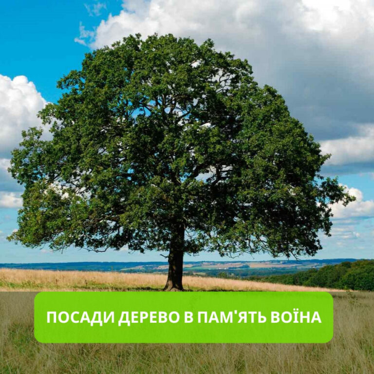 Франківці можуть безкоштовно отримати саджанці дерев