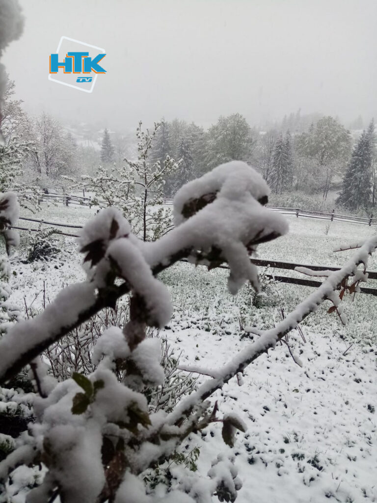 Івано-Франківщину посеред квітня замело снігом ФОТО