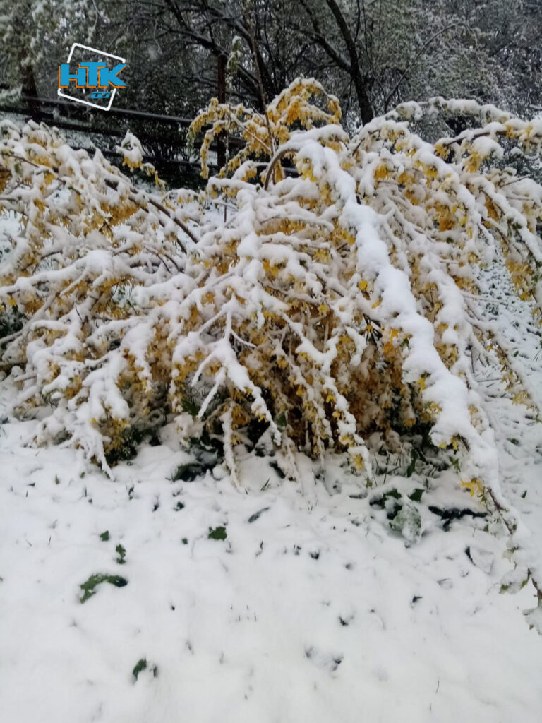 Івано-Франківщину посеред квітня замело снігом ФОТО