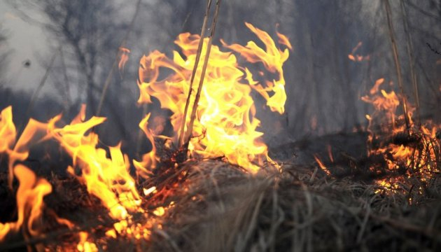 За вихідні на Прикарпатті трапилося понад 60 пожеж