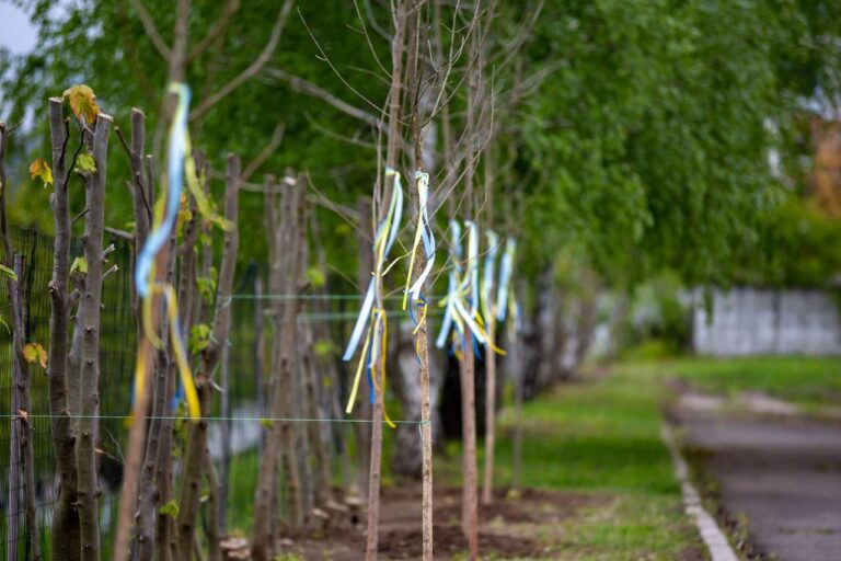 В Івано-Франківську завершилась акція «Посади дерево памʼяті захисника». ФОТО