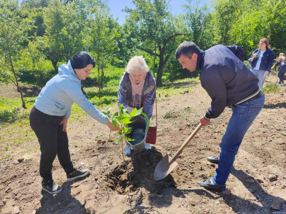 На честь захисників України у Дубівецькій громаді на березі Дністра висадили Алею каштанів