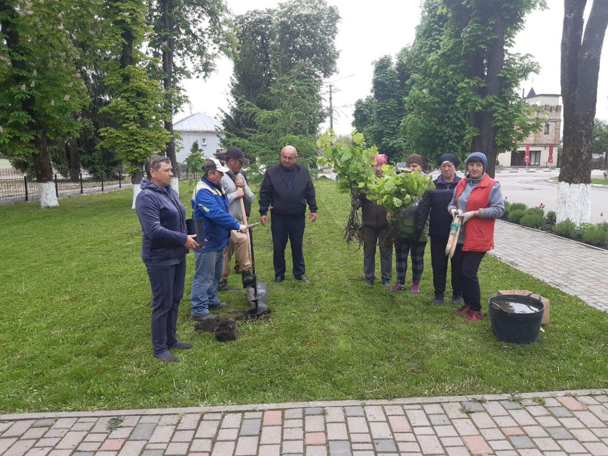 На Прикарпатті посадили дуби в пам’ять про полеглих українців 