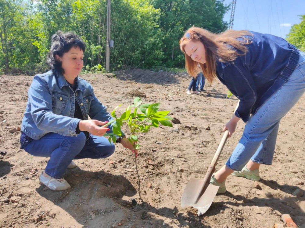 На честь захисників України у Дубівецькій громаді на березі Дністра висадили Алею каштанів