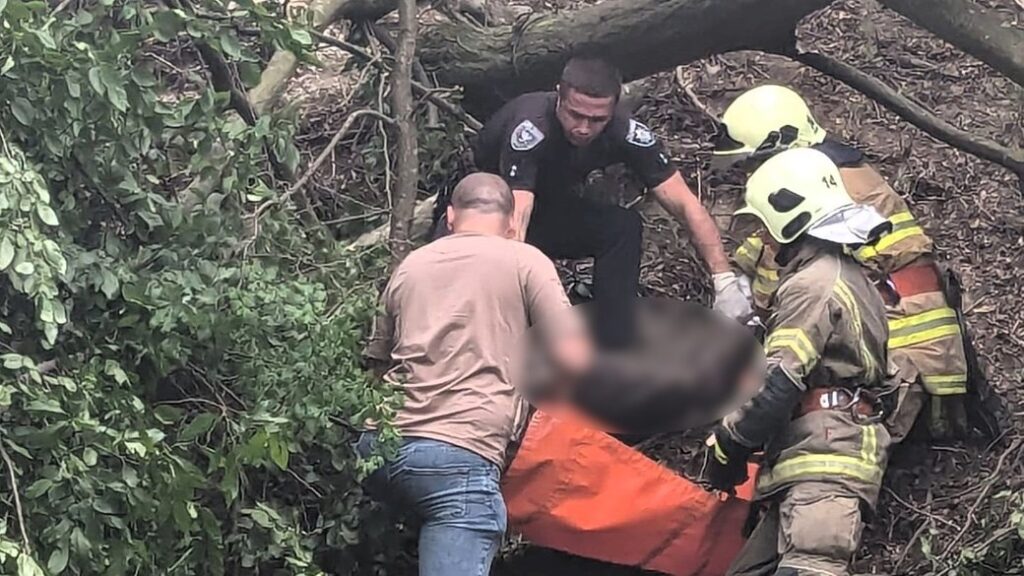 На Косівщині повалене дерево смертельно травмувало чоловіка