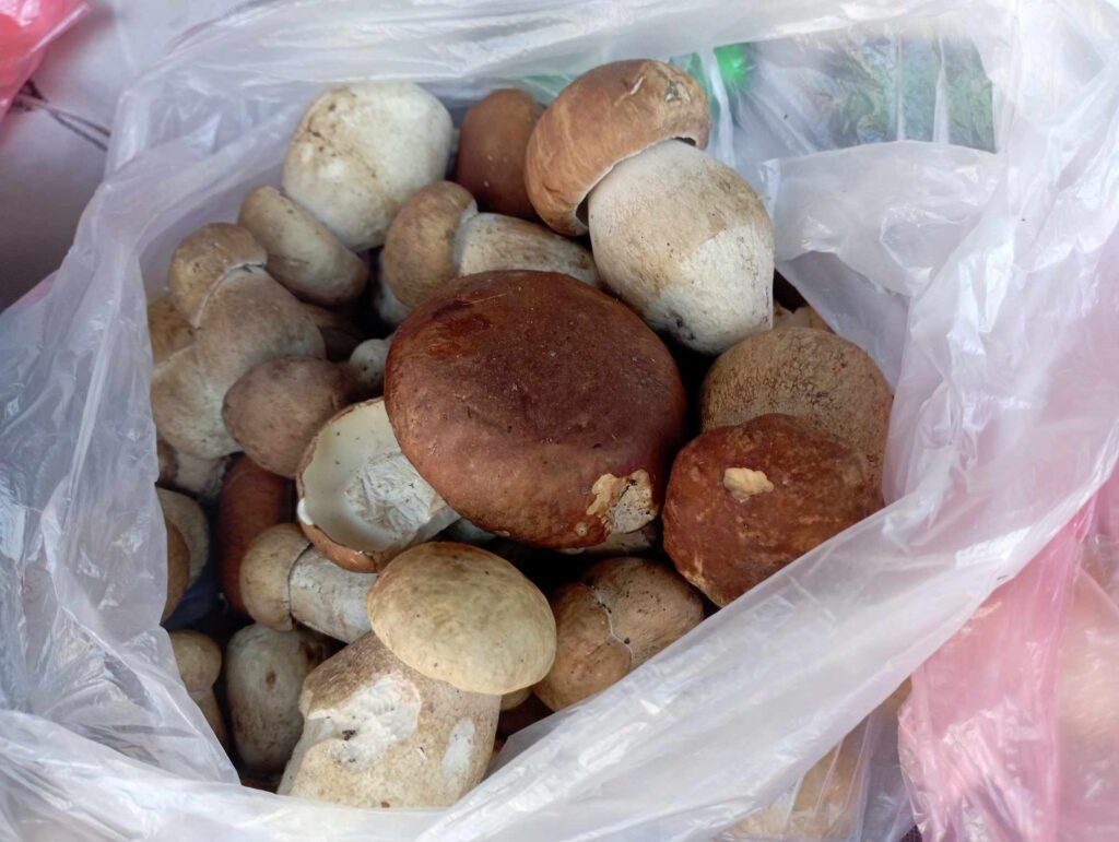 На ринку Івано-Франківська почали продавати гриби. ФОТО
