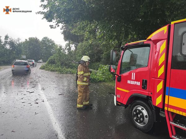 Наслідки негоди на Франківщині: буревій повалив десятки дерев, у п’яти громадах – знаструмлення