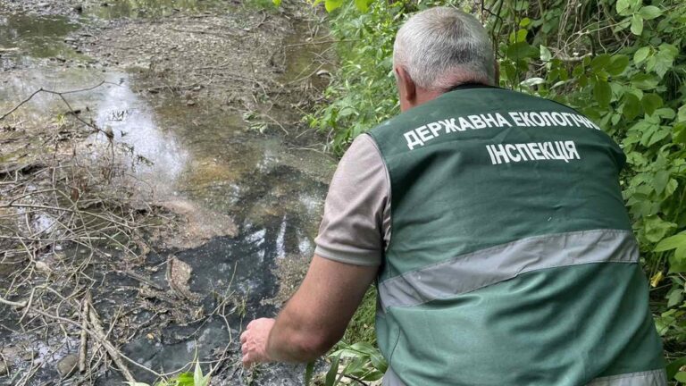 Річка Луква на Калущині забруднена каналізаційними стоками