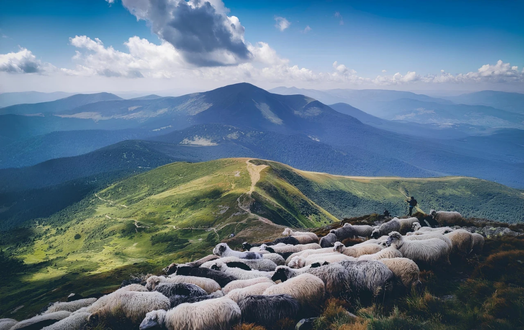 Відпочинок у Карпатах: що подивитися, куди поїхати та що робити