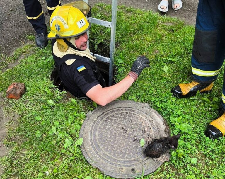 В Надвірній надзвичайники врятували кошеня, що впало в каналізацію. ФОТО