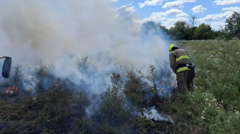 На Франківщині за добу рятувальники 10 разів гасили пожежі сухостою