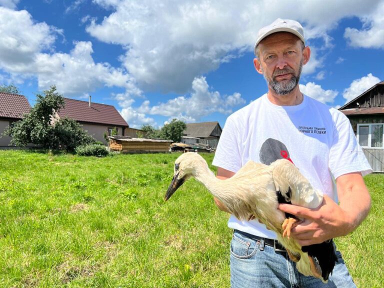 За українськими лелеками стежитимуть через супутник