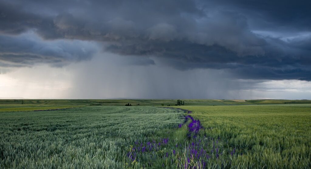 погода на Прикарпатті 28 липня,Івано-Франківський обласний центр з гідрометеорології