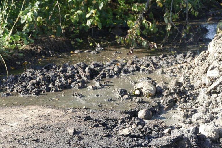 У селі на Калущині виявили стихійне сміттєзвалище з харчових відходів