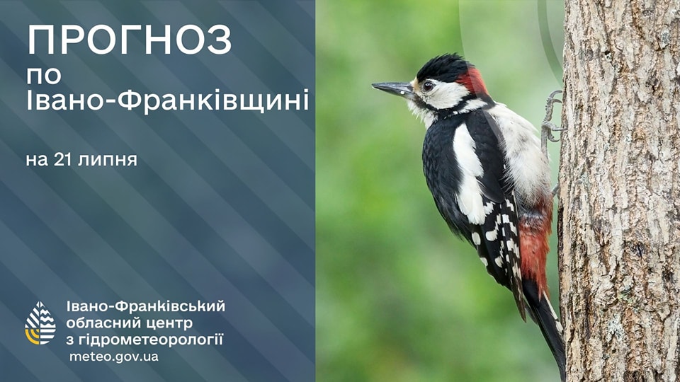 Якою буде погода на Прикарпатті 21 липня