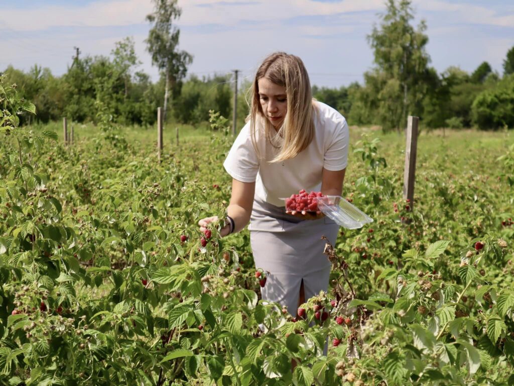 У Коломийській громаді працює "Малинова фазенда"