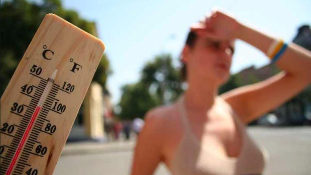 Червень 2024 року на Прикарпатті був теплішим від норми і з дефіцитом опадів