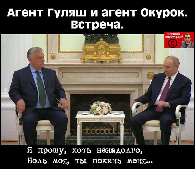 Обличчя виборчої кампанії Зеленського втік за кордон, там де "пальми і син" - найкращі меми