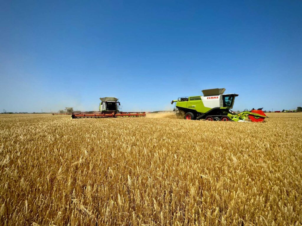 Івано-Франківська область лідирує за врожайністю жнив