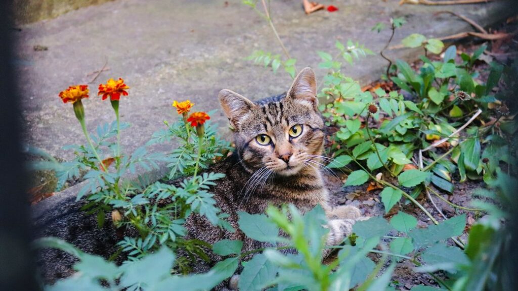 Якою буде погода на Прикарпатті у п'ятницю, 30 серпня