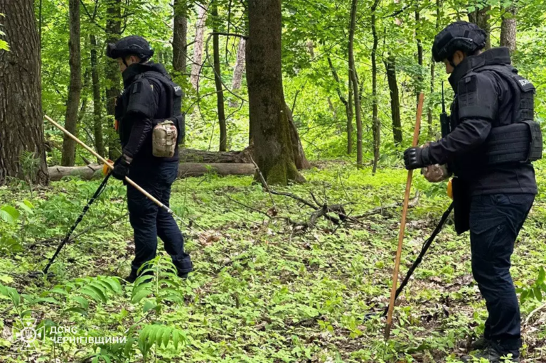 На Прикарпатті піротехніки знешкодили 5 застарілих боєприпасів