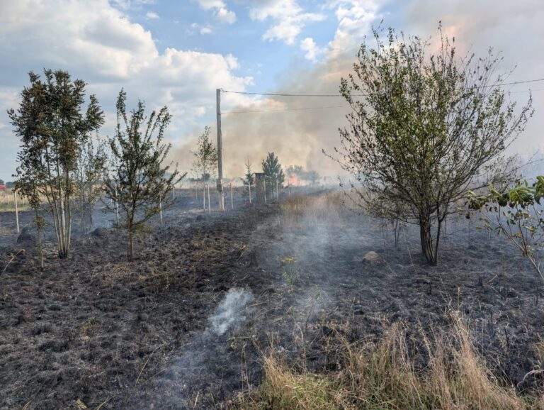 Врятували від вогню три будинки: На Прикарпатті горіла суха трава ФОТО