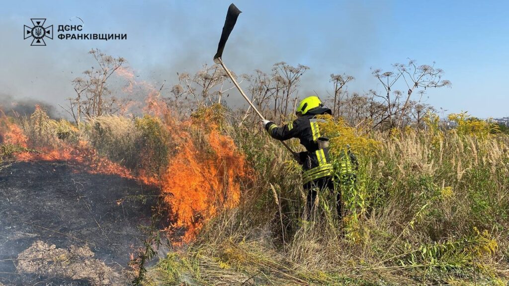 У Загвізді виникла масштабна пожежа: горіла суха трава площею понад 4 га. ФОТО. ВІДЕО