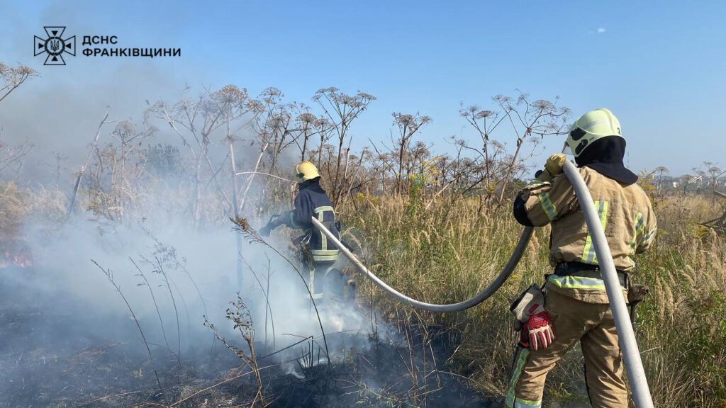 У Загвізді виникла масштабна пожежа: горіла суха трава площею понад 4 га. ФОТО. ВІДЕО