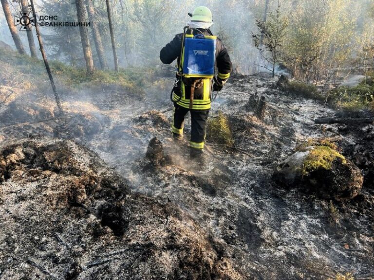 На Косівщині дві години гасили лісову пожежу