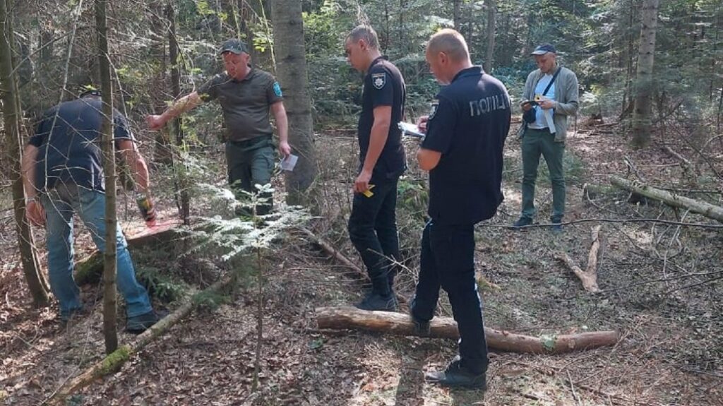 На Франківщині незаконно вирубали дерев на понад 1,5 мільйони гривень