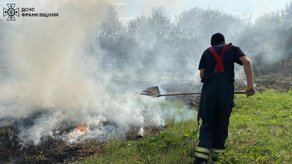 На Прикарпатті впродовж доби вогнеборці ліквідували 45 пожеж в екосистемах