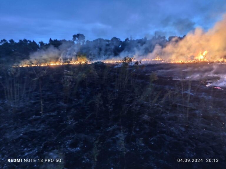 На Богородчанщині за добу рятувальники чотири рази гасили траву