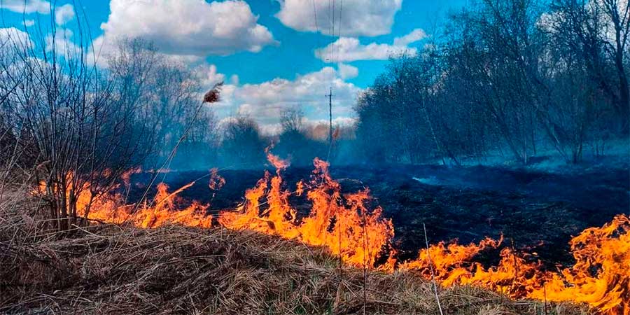 На Прикарпатті у понеділок гасили 21 пожежу сухостою