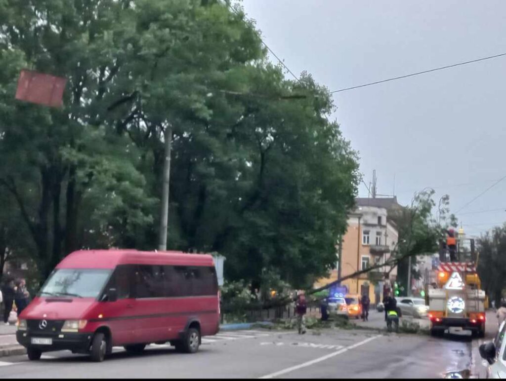 У Франківську на Галицькій на дорогу впало дерево: Проїзд перекрито ФОТО