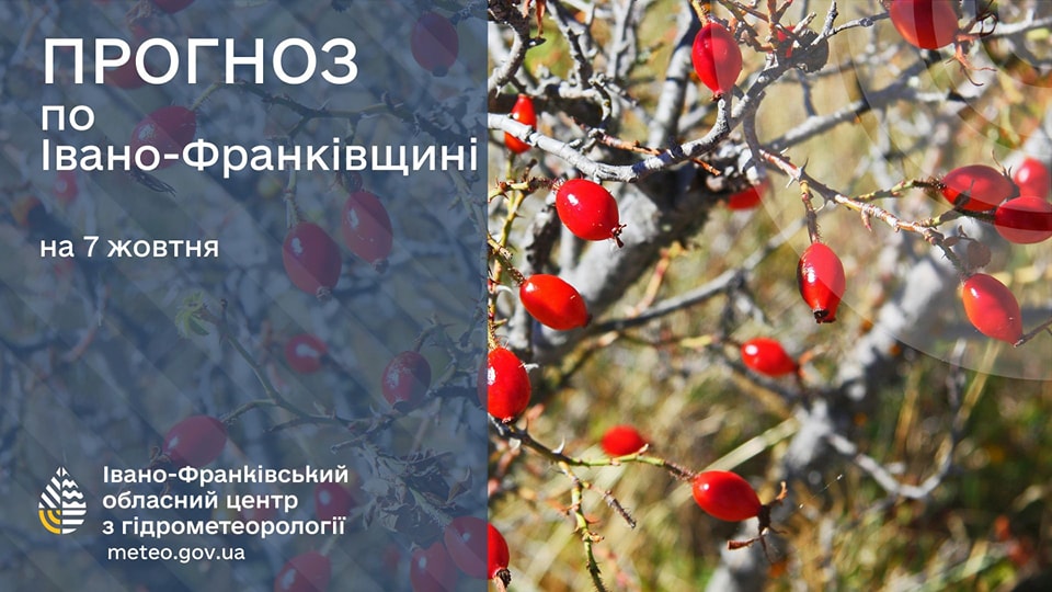 Якою буде погода на Прикарпатті 7 жовтня