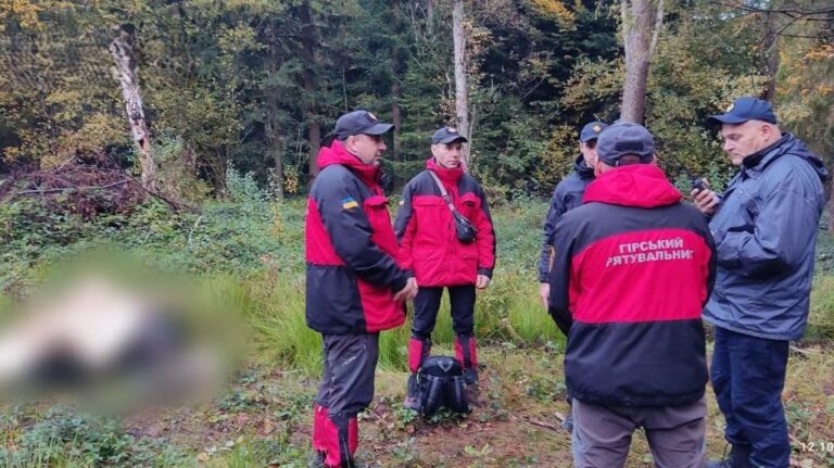 Стало відомо, від чого помер грибник у лісі на Франківщині