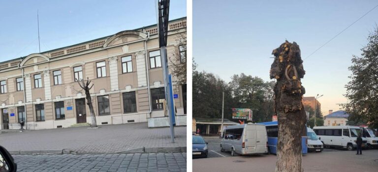 Біля франківського вокзалу “знищили” дерева: залізничники кажуть, що була причина