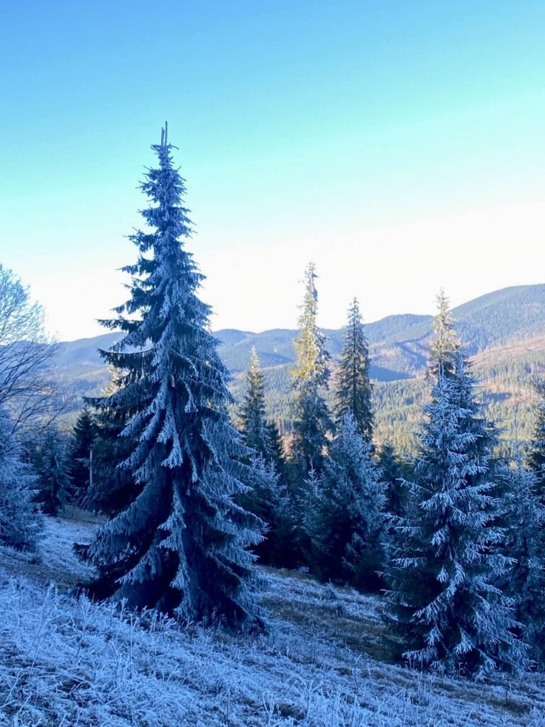 Високогір'я Карпат продовжує притрушувати снігом ФОТОРЕПОРТАЖ