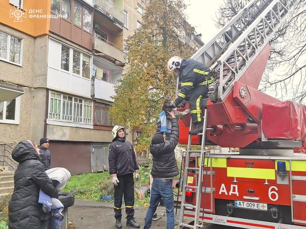 У Калуші рятувальники знімали з дерева кота